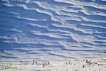 bild Winter Strassenrand James Dalton