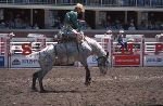 bild Calgary Stampede Rodeo