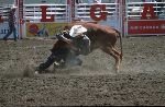 bild Cowboy Symbole