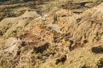Dinosaurier Alberta Urlaub