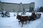 bild Lake Louise Familienurlaub