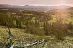 bild Landschaft Alberta