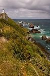 bild Natur K�ste Nugget Point Lighthouse Urlaubsbild