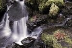 bild Herbstblaetter Am Wasserfall