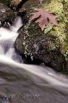 bild Wasser Bewegung Fluss