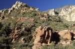 bild USA Reisen Arizona