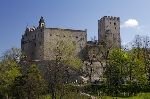 bild Burg Hinter B�umen Schloss Bruneck