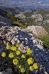 Natur Provence Verdon