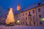 bild Weihnachtsbild Lichterglanz Weihnachtsbaum Landratsamt Neustift Freising
