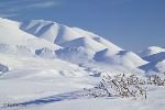 bild Arktische Tundra Philip Smith Mountains Alaska