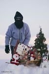 bild Weihnachtsbild Alaska Freude