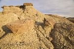 bild Dinosaur Provincial Park Badlands
