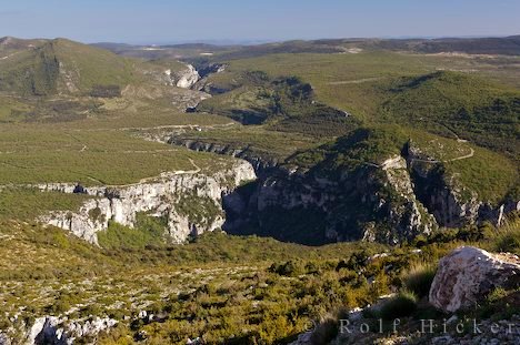 Pictures Nature on Bild Natur Provence I Bildarchiv Rolf Hicker