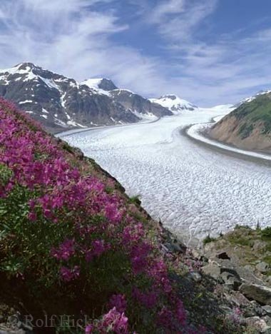 Salmon Gletscher Alaska