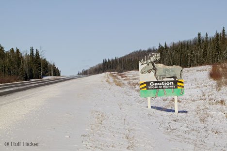 Elch Schild Strassenbild Alcan Highway