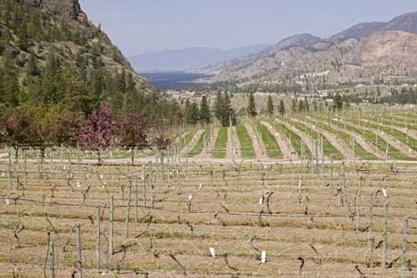 Okanagan Valley Anbauregion