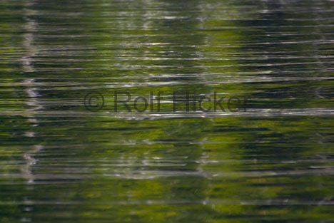 Wasser Reflektionen