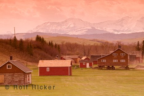 Alberta Ranch Farm