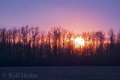 Alberta Sonnenuntergang Barrhead