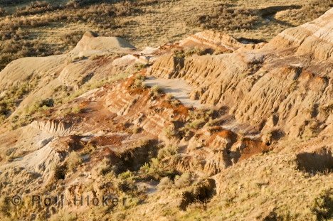 Dinosaurier Alberta Urlaub