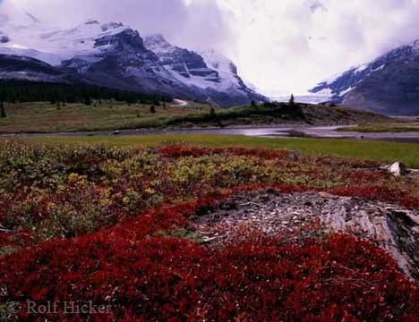 Urlaub Am Icefields Parkway