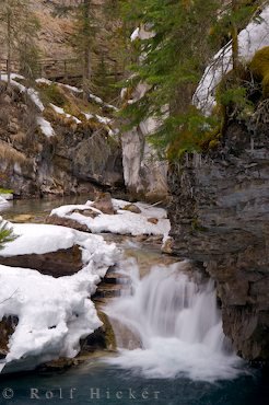 Johnston Creek Fluss Bild