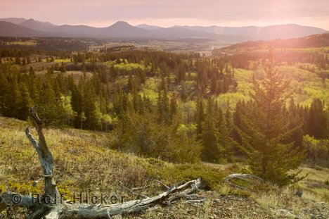 Landschaft Alberta