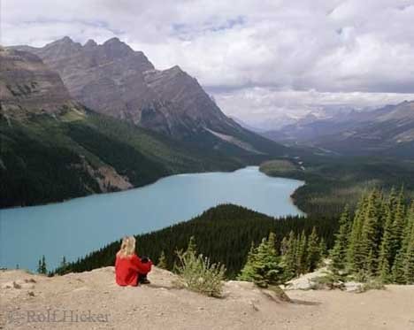 Urlaub Peyto Lake Alberta