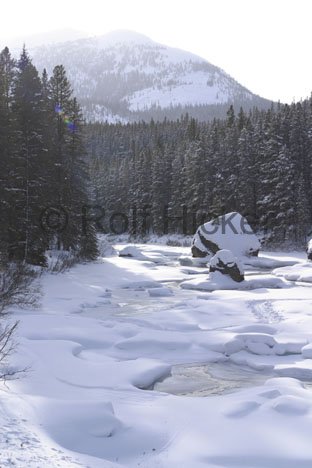 Winterurlaub Jasper Landschaft Wald
