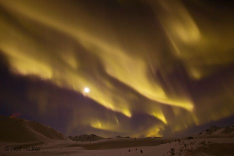 Geheimnisvolle Nordlichter Vollmond