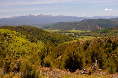 Aussichtspunkt Neuseeland Urlaub Nelson Lakes Nationalpark