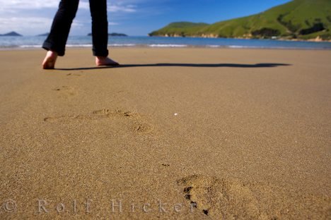 Einsamer Strand Spuren Sand Neuseeland