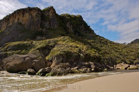 Felsen Und Meer Neuseeland Karamea