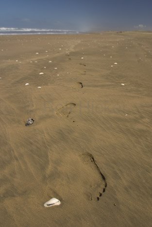 Fussspuren Sand Neuseeland