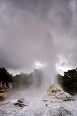 Geysir Lady Knox Neuseeland