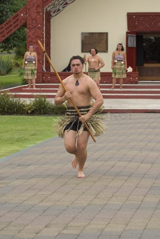 Kulturelle Touren Maori Traditionen