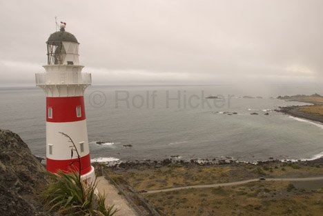 Leuchtturm Cape Palliser