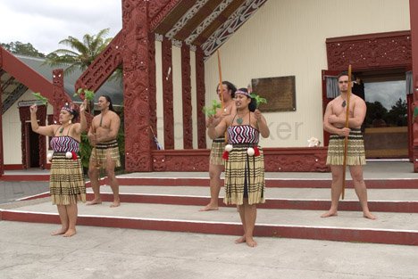 Maori Tanz Vorführung