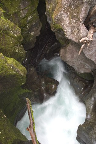 Milford Sound the Chasm Fiordland