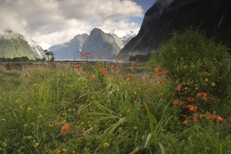 Milford Sound Idyllisches Bild
