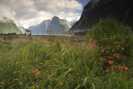 Milford Sound Idyllisches Bild