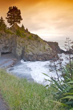 Monkey Bay Rarangi Beach Suedinsel Neuseeland