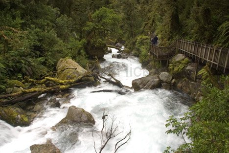 Nationalpark Neuseeland Wandern Fiordland