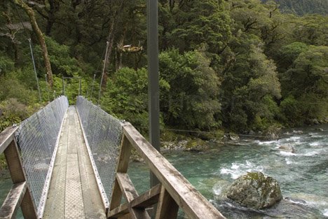 Neuseeland Fotos Bruecke Fiordland