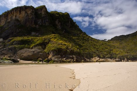 Neuseeland Reise Kohaihai Beach Strand Bild