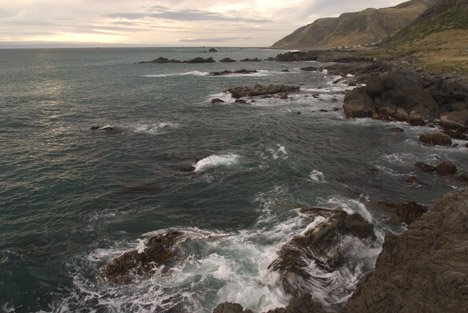 Strand Aussicht Bild Neuseeland Reise