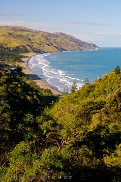 Gore Bay Reserve Aussicht Meer