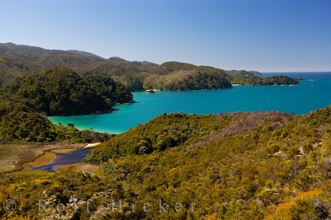 Reisetipp Neuseeland Wanderreisen Abel Tasman