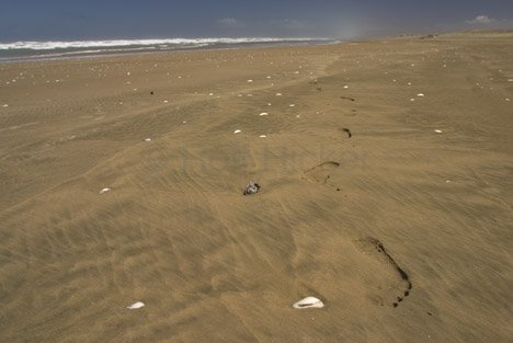Spuren Strand Sand Neuseeland