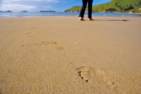 Strandwanderung Spuren Sand Neuseeland